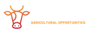 Logo-ITA-KUH-transparente-letra-blanca-3-ingles