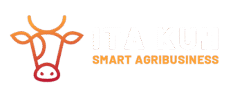 Logo-ITA-KUH-transparente-letra-blanca-2025